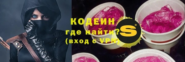 ПСИЛОЦИБИНОВЫЕ ГРИБЫ Богданович