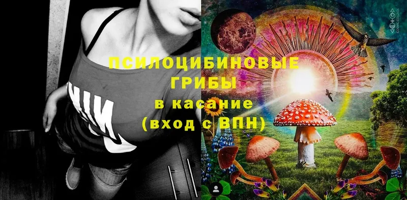 Псилоцибиновые грибы MAGIC MUSHROOMS  Власиха 